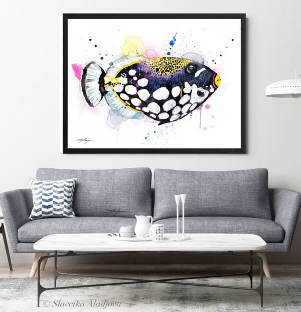 Clown Triggerfish Clown Triggerfish