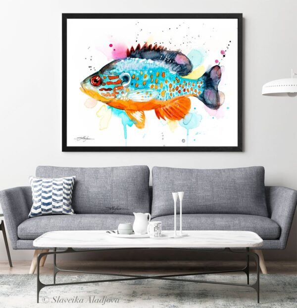 Orangespotted sunfish