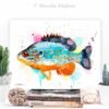 Orangespotted sunfish