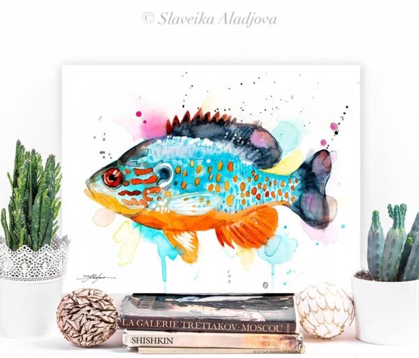Orangespotted sunfish
