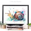 Snail