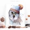 Funny Great Grey Owl With Hat