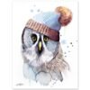 Funny Great Grey Owl With Hat