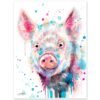 Pig Pig