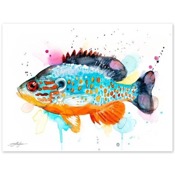 Orangespotted sunfish