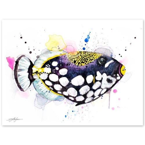 Clown Triggerfish