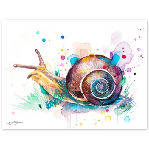 Snail