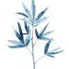 Bamboo Leaf