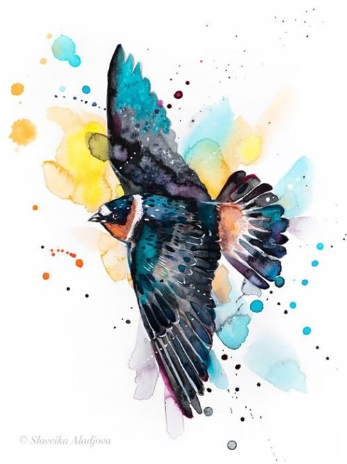 Cliff Swallow