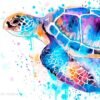 Blue Sea turtle