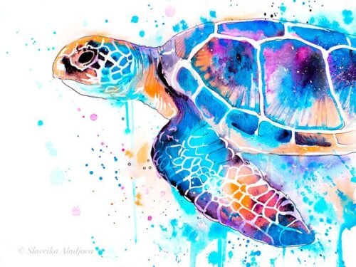 Blue Sea turtle