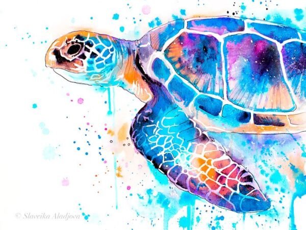Blue Sea turtle