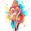 Seashell watercolor painting print by Slaveika Aladjova Seashell watercolor painting print by Slaveika Aladjova