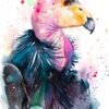 California condor