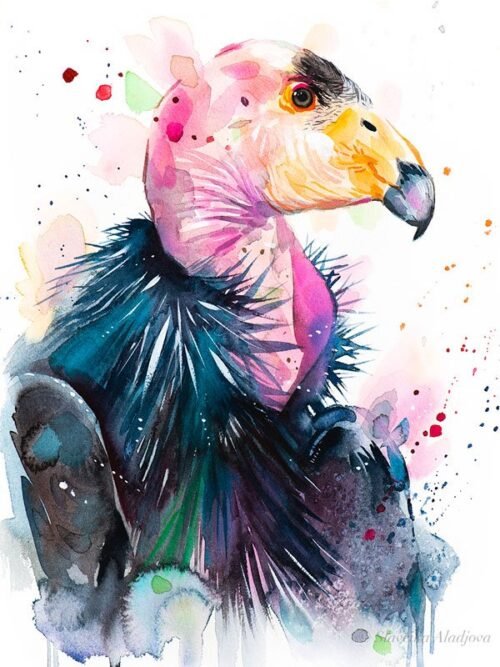 California condor
