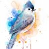 Tufted Titmouse