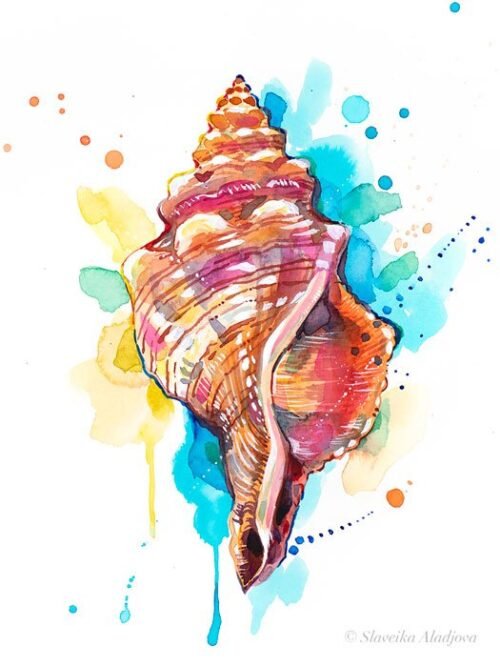 Seashell watercolor painting print by Slaveika Aladjova