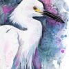 Snowy egret