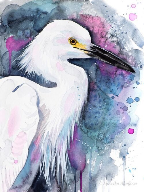 Snowy egret