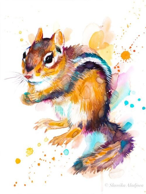 Chipmunk