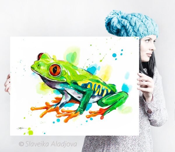 Red-eyed tree frog