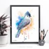 Tufted Titmouse