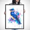 Bluebird