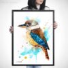 Kookaburra