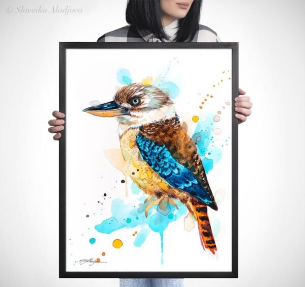 Kookaburra