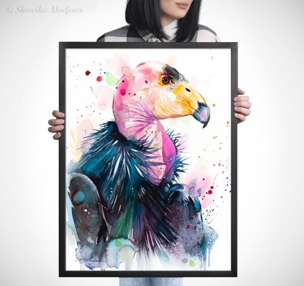 California condor