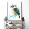 Kookaburra