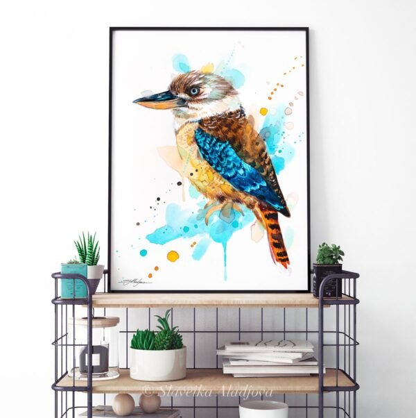 Kookaburra