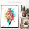 Seashell watercolor painting print by Slaveika Aladjova Seashell watercolor painting print by Slaveika Aladjova