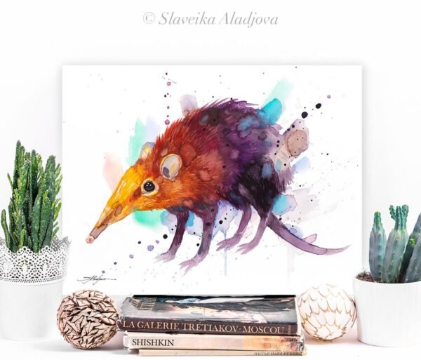 Golden-rumped elephant shrew Golden-rumped elephant shrew