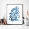 Coconut Leaf