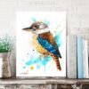 Kookaburra