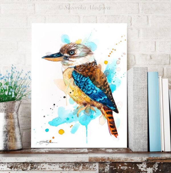 Kookaburra