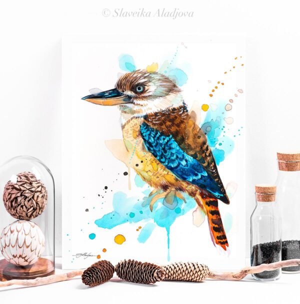 Kookaburra