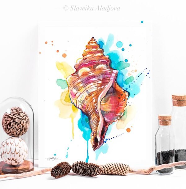 Seashell watercolor painting print by Slaveika Aladjova Seashell watercolor painting print by Slaveika Aladjova