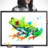 Red-eyed tree frog