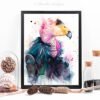 California condor