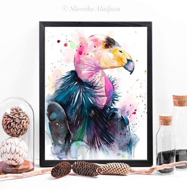 California condor