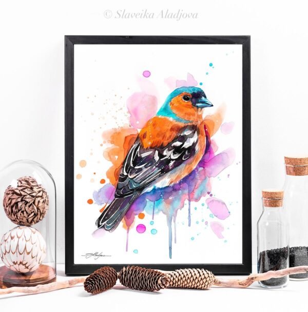 Common Chaffinch