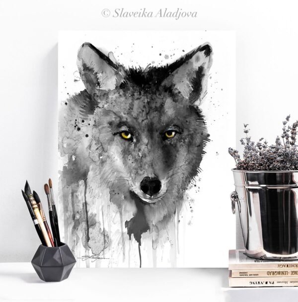 Black and white Coyote