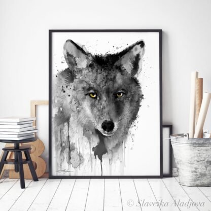 Black and white Coyote
