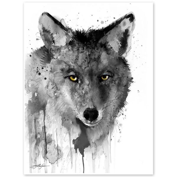 Black and white Coyote