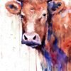 Brown cow