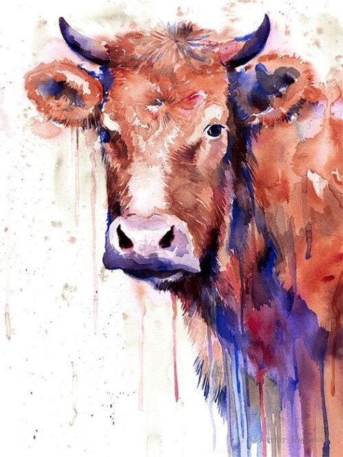 Brown cow