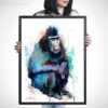 Celebes crested macaque monkey