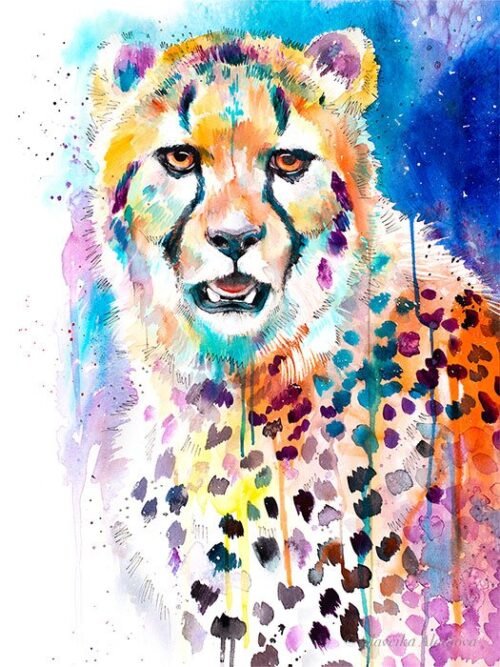 Cheetah